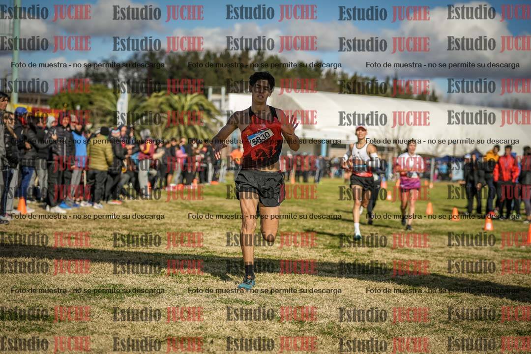 Fotos de las llegadas