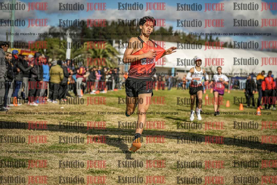 Fotos de las llegadas