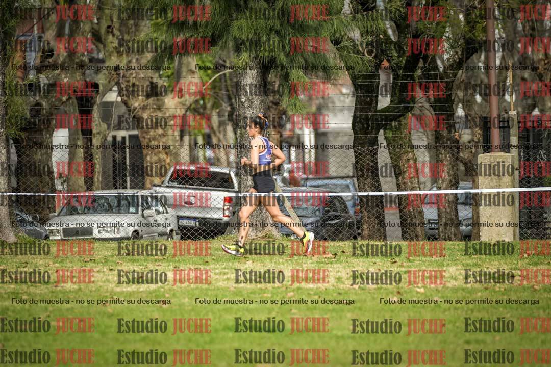 Fotos en el circuito