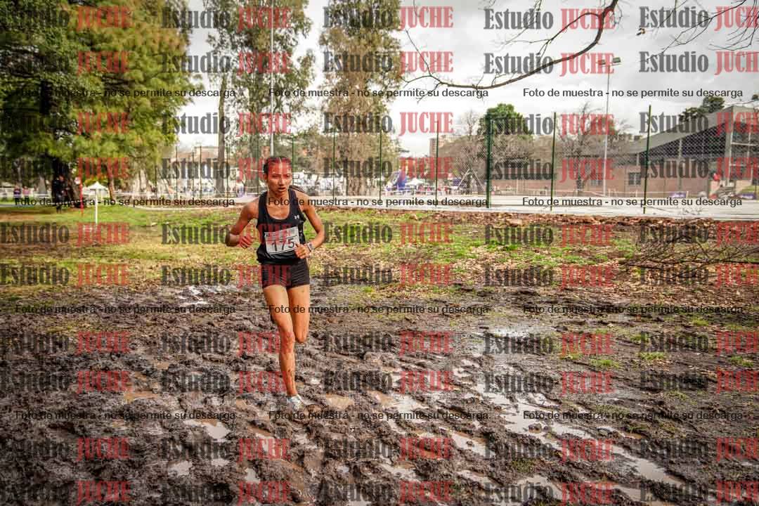 Fotos en el circuito