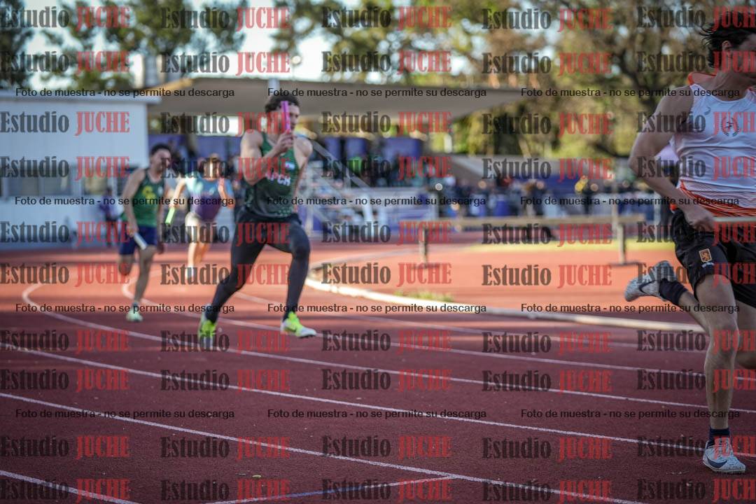 Fotos de las Postas 4x100 m de varones