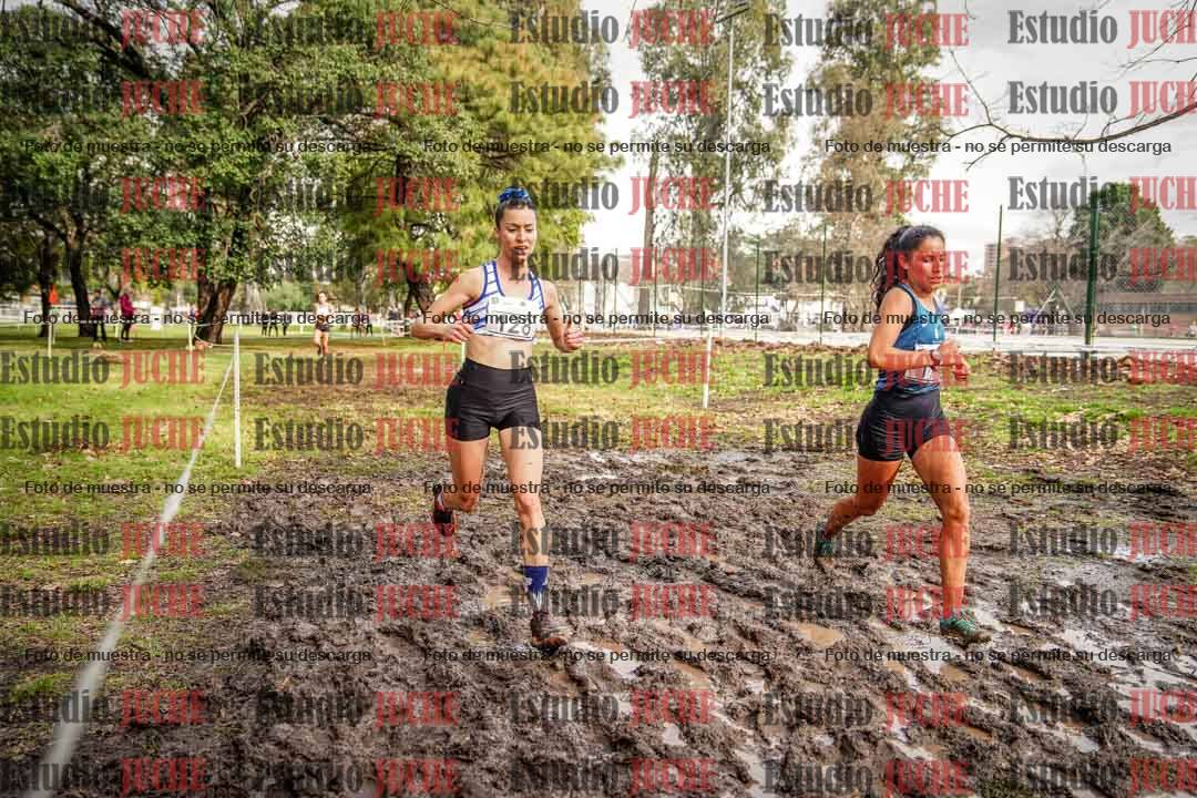 Fotos en el circuito
