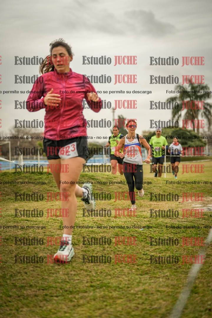 Fotos en el circuito