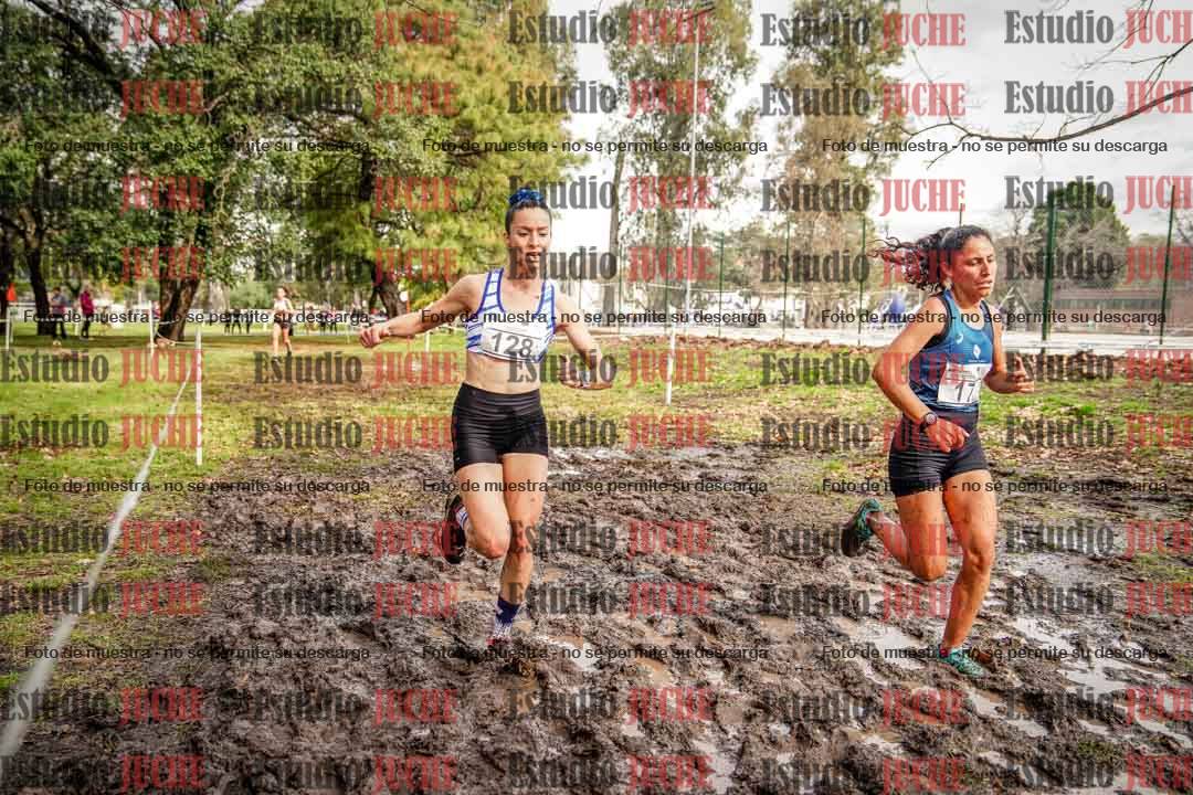 Fotos en el circuito