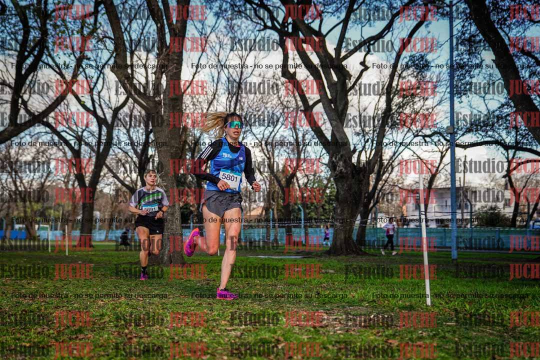 Fotos en el circuito