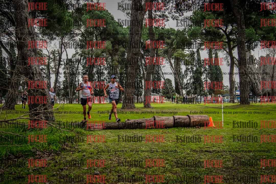 Fotos en el circuito