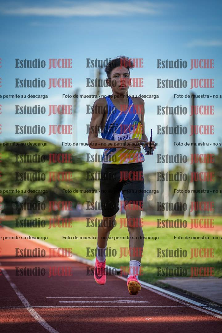 Fotos de los 1500 m llanos de varones
