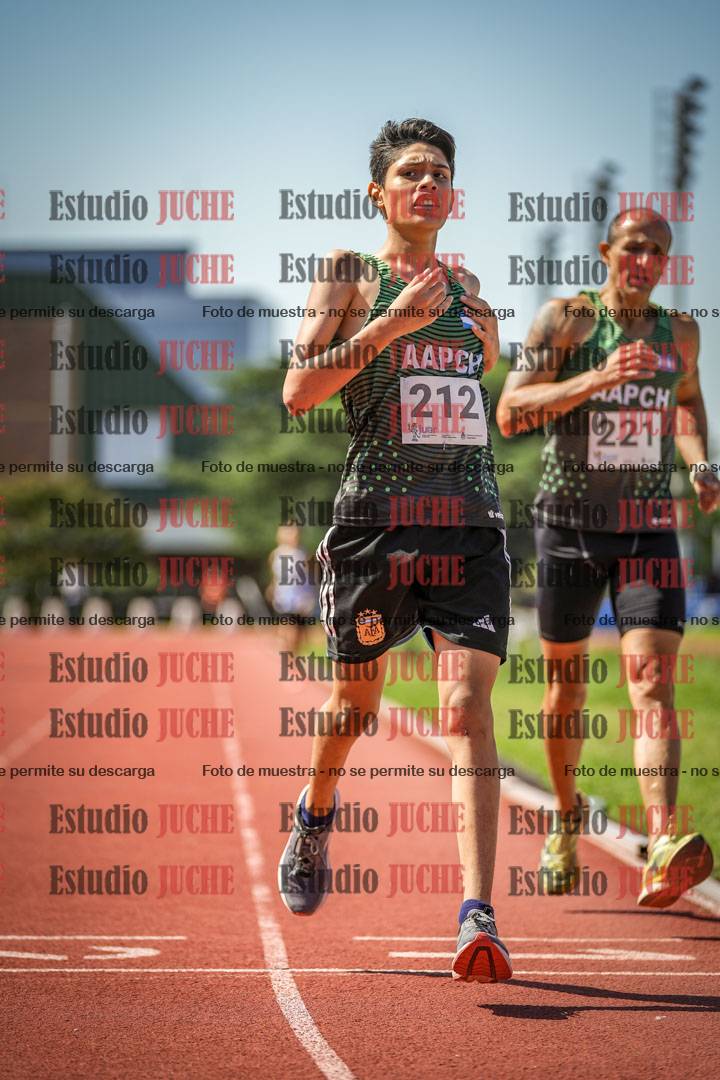 Fotos de los 800 m llanos de varones