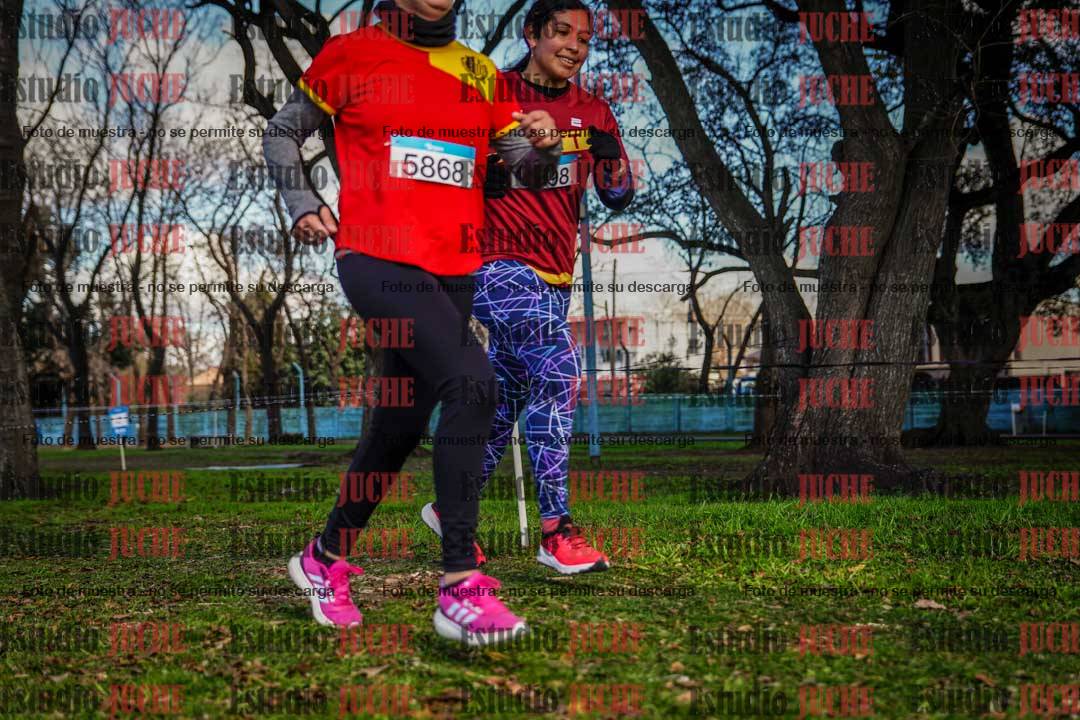 Fotos en el circuito