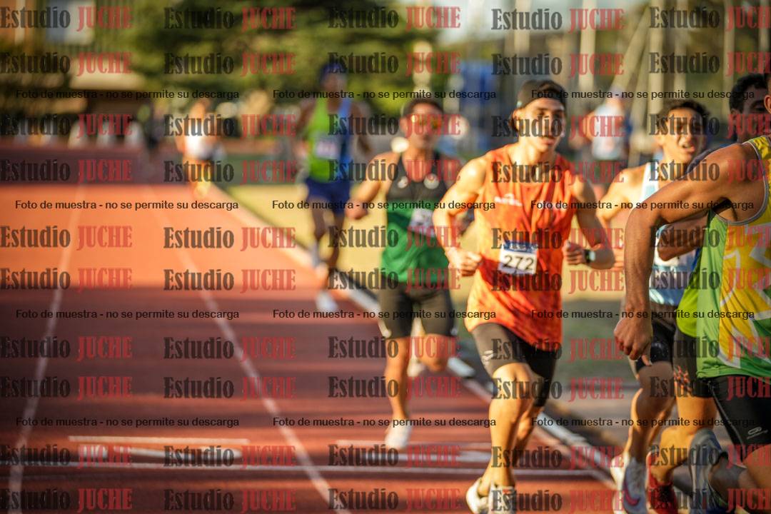 Fotos de los 3000 m llanos de varones
