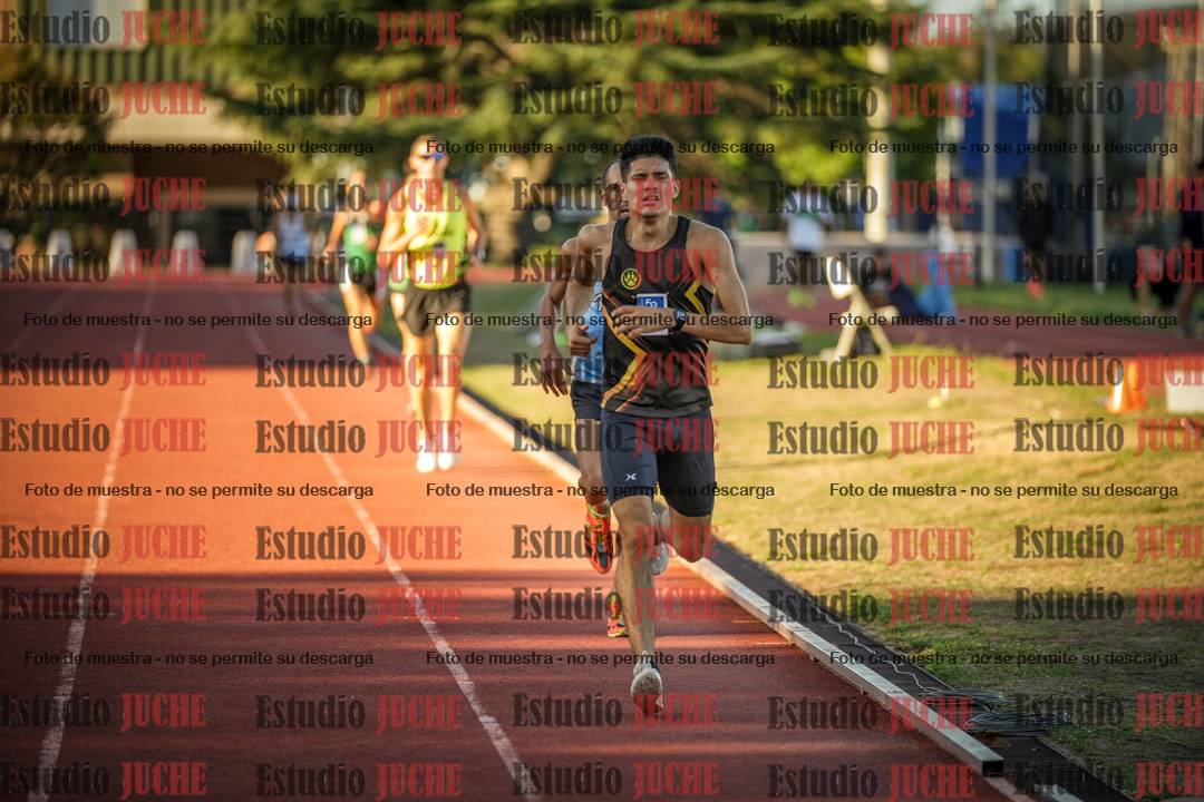 Fotos de los 3000 m llanos de varones