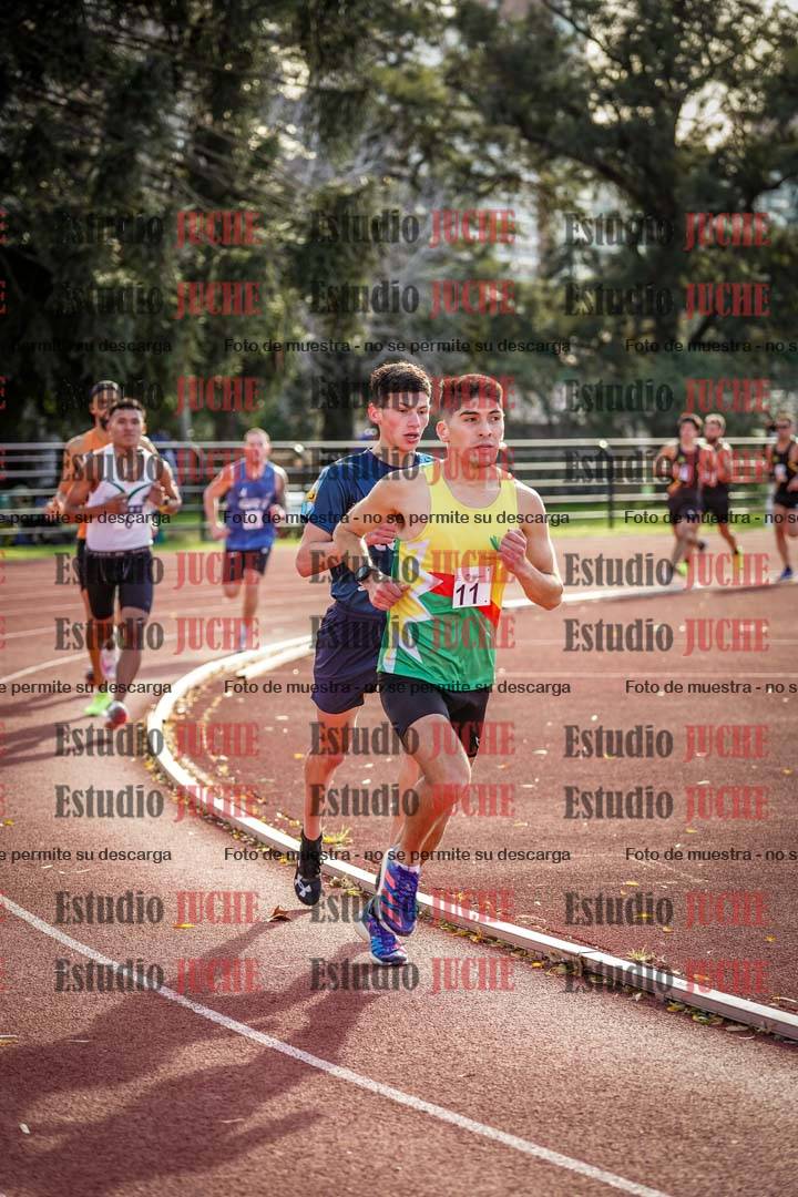 Fotos de los 3000 m llanos de varones