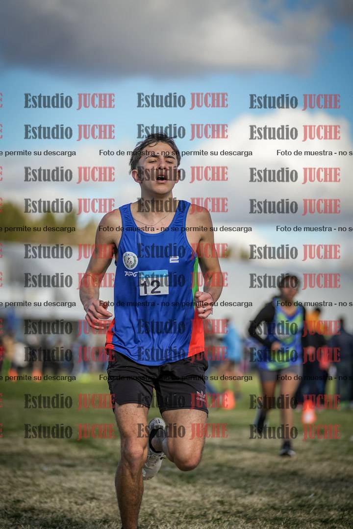 Fotos de las llegadas