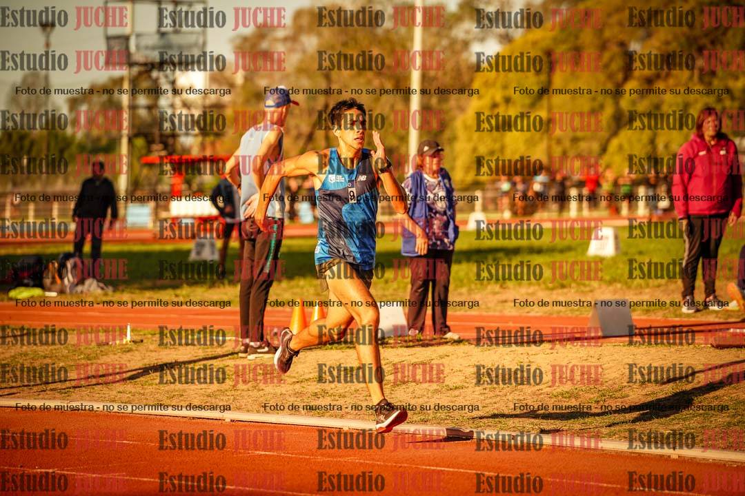 Fotos de los 3000 m llanos de varones