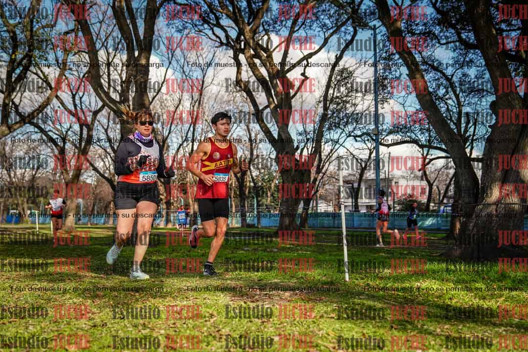 Fotos en el circuito