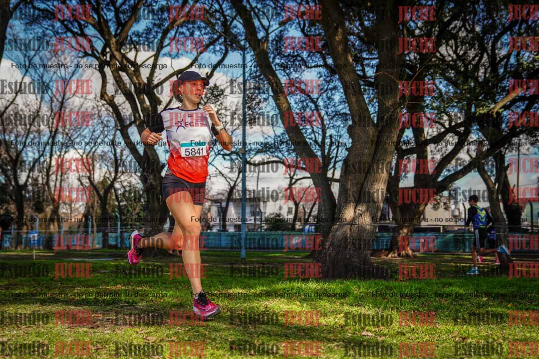 Fotos en el circuito