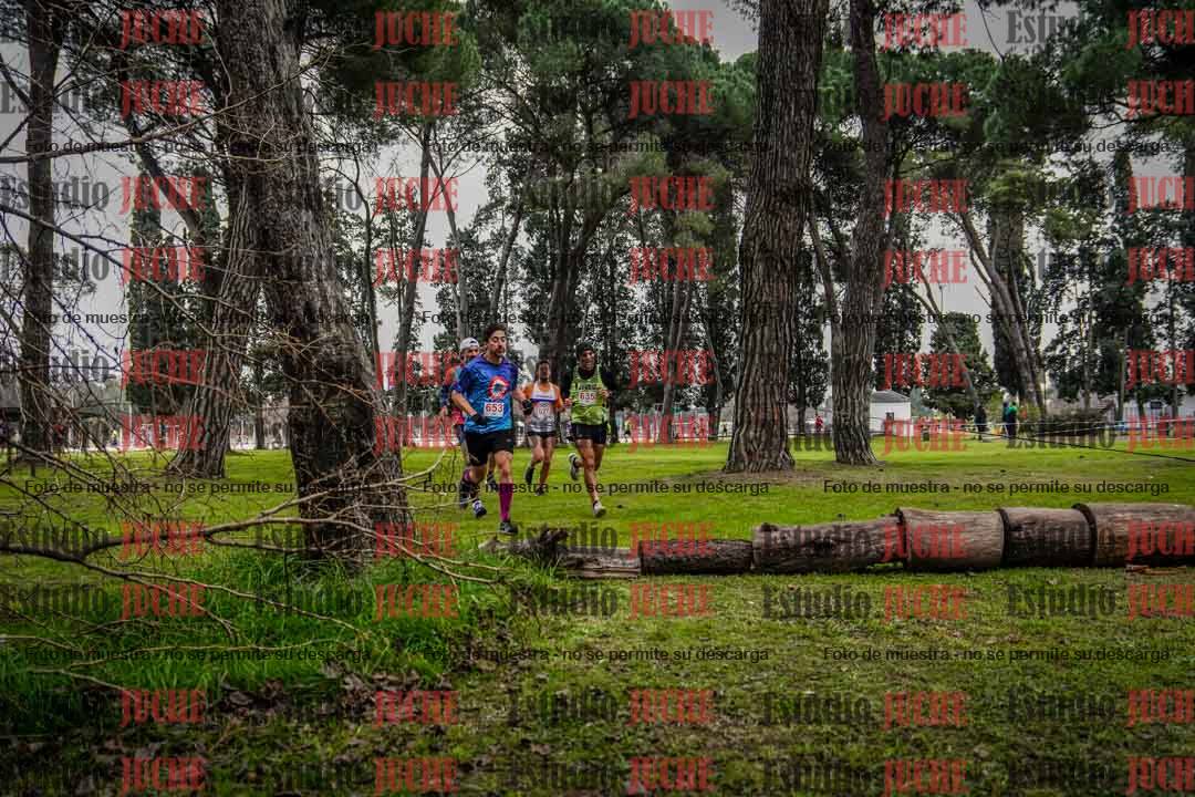 Fotos en el circuito