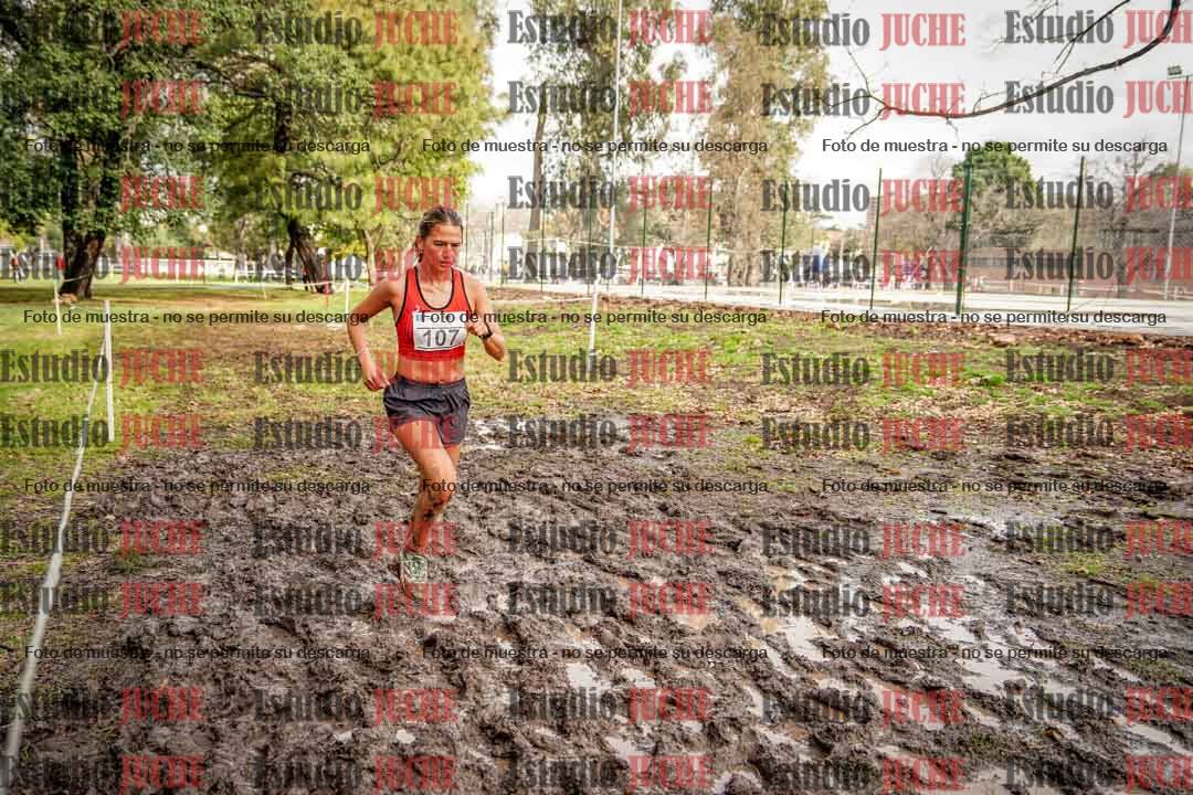 Fotos en el circuito