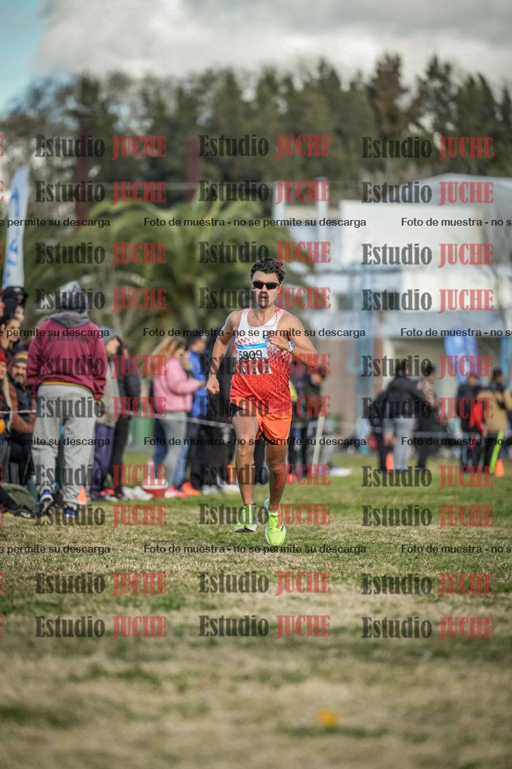 Fotos de las llegadas