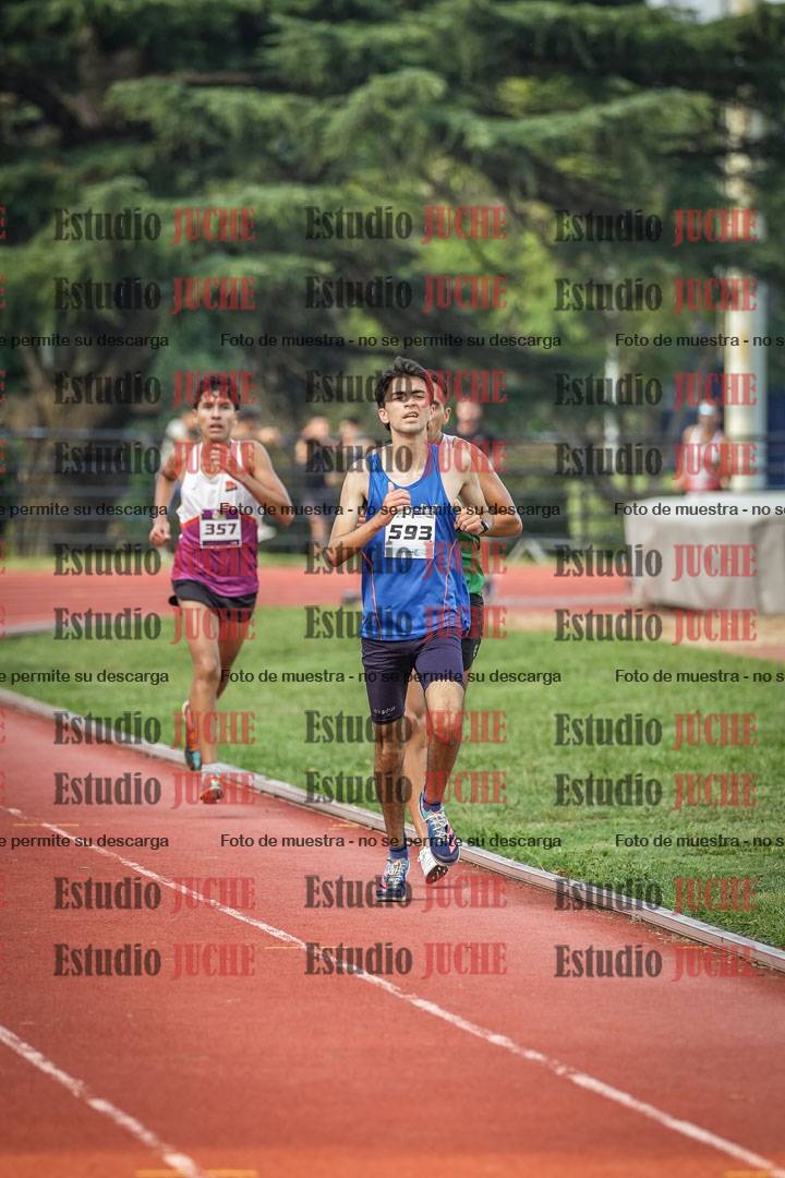 Fotos de los 3000 m llanos de varones