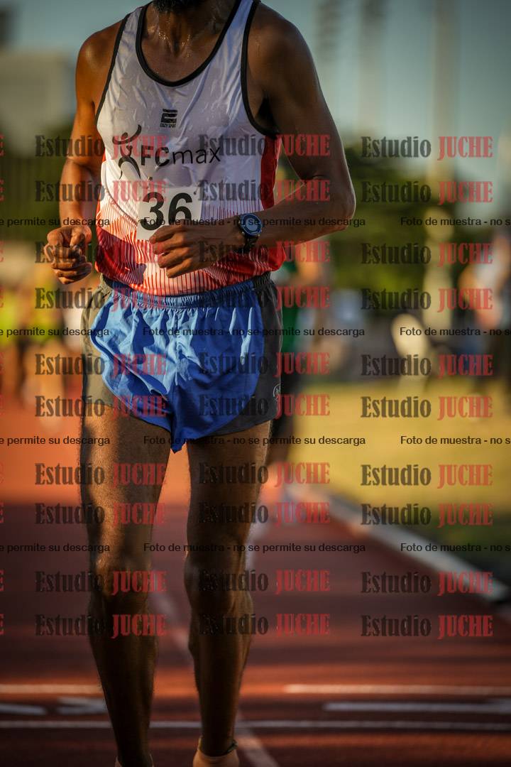 Fotos de los 3000 m llanos de varones