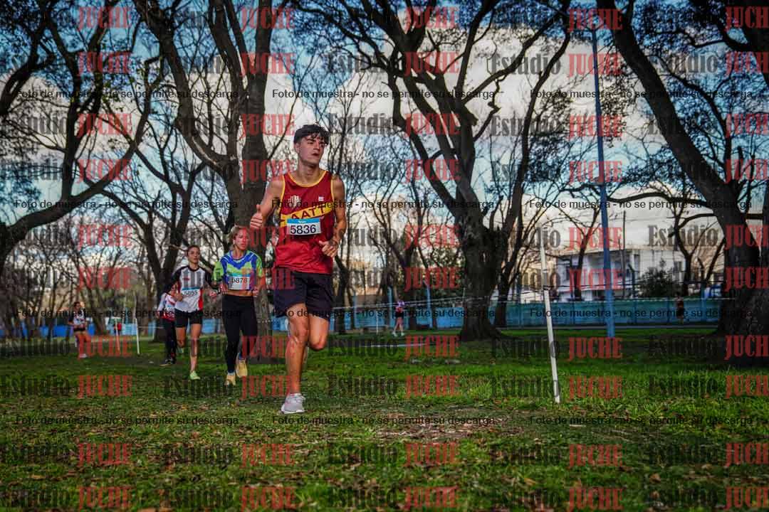 Fotos en el circuito