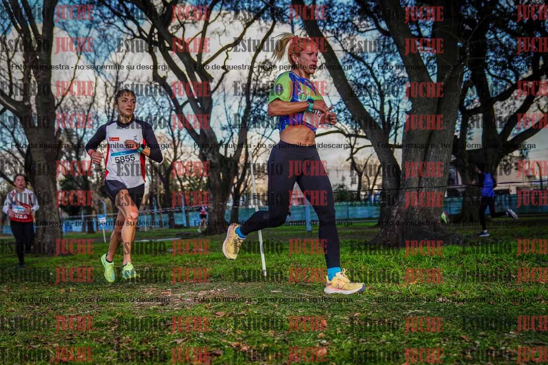 Fotos en el circuito