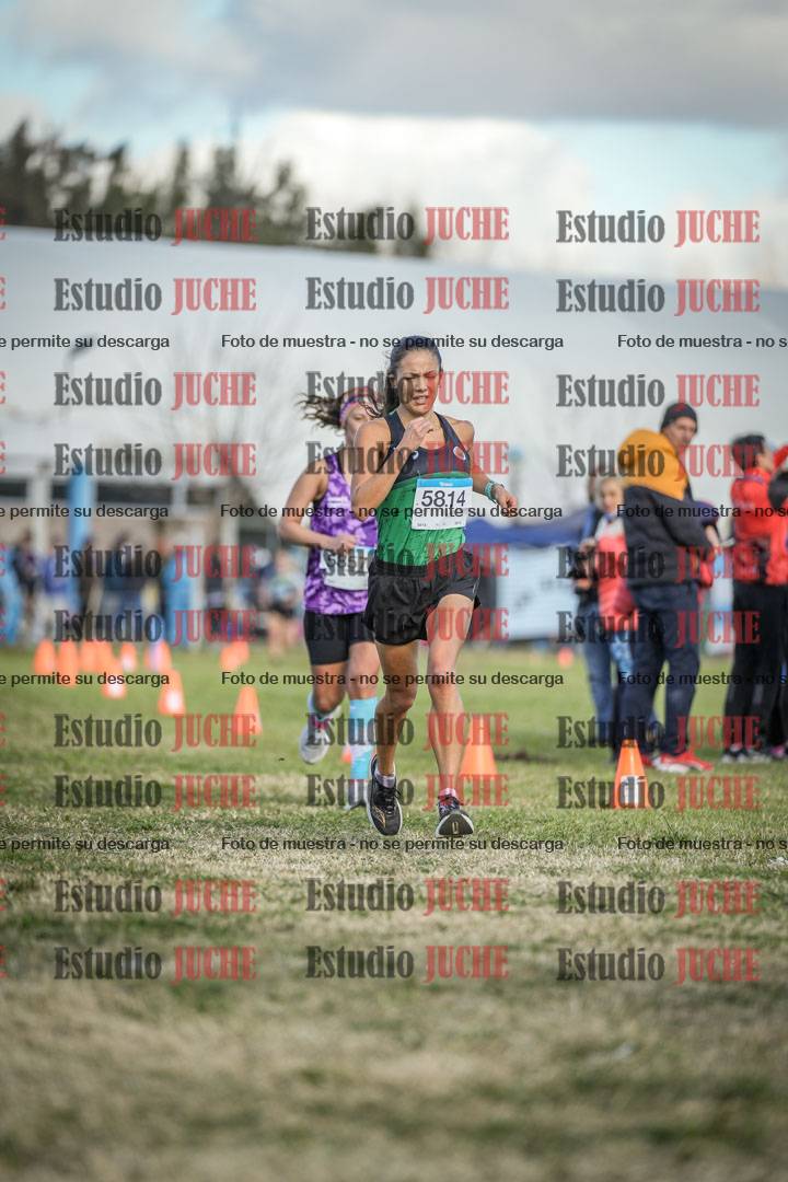 Fotos de las llegadas