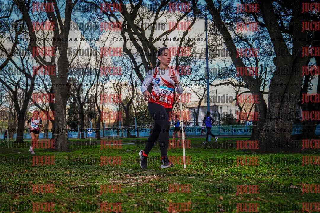 Fotos en el circuito