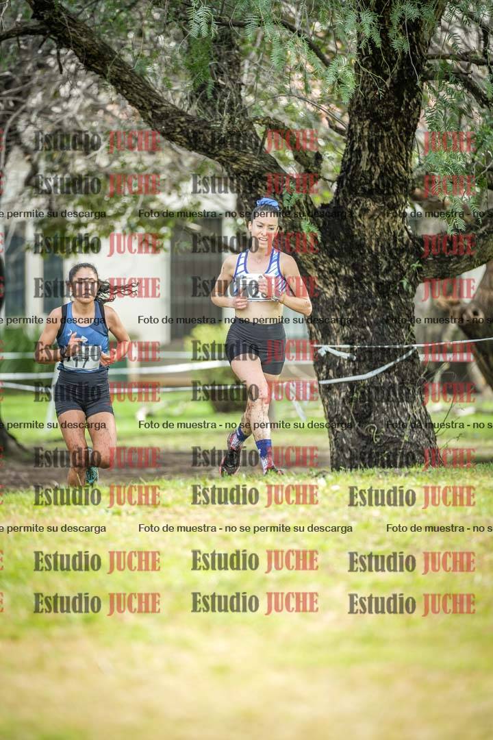 Fotos en el circuito