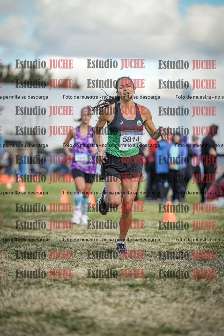 Fotos de las llegadas