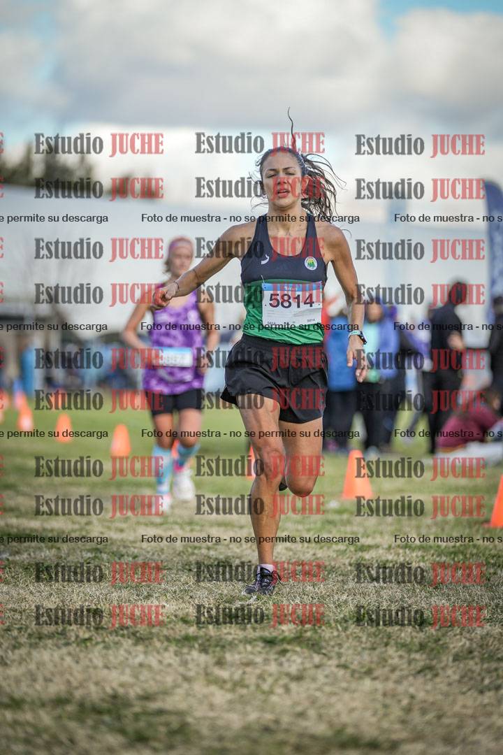 Fotos de las llegadas