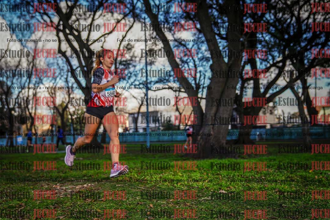 Fotos en el circuito