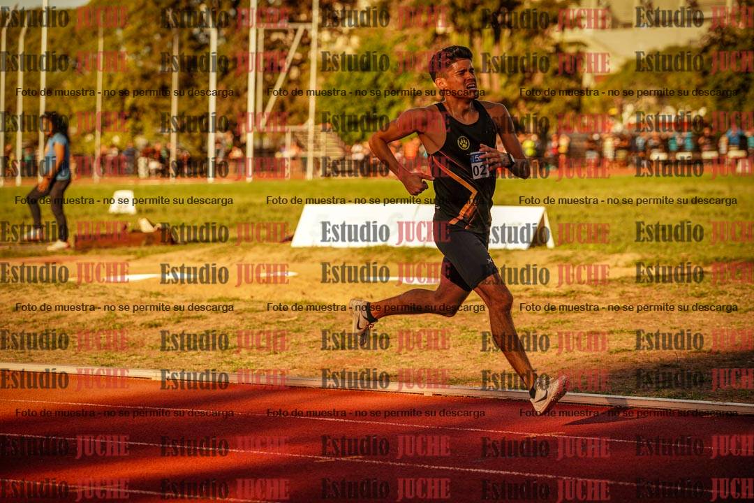Fotos de los 3000 m llanos de varones