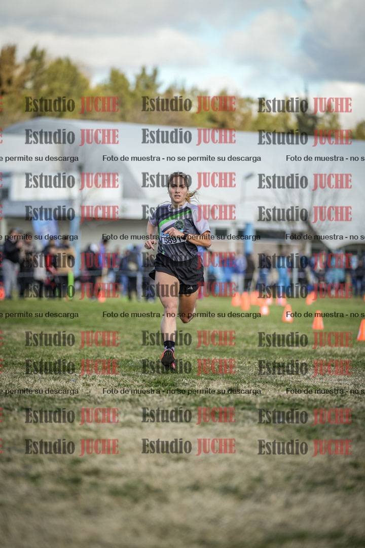 Fotos de las llegadas