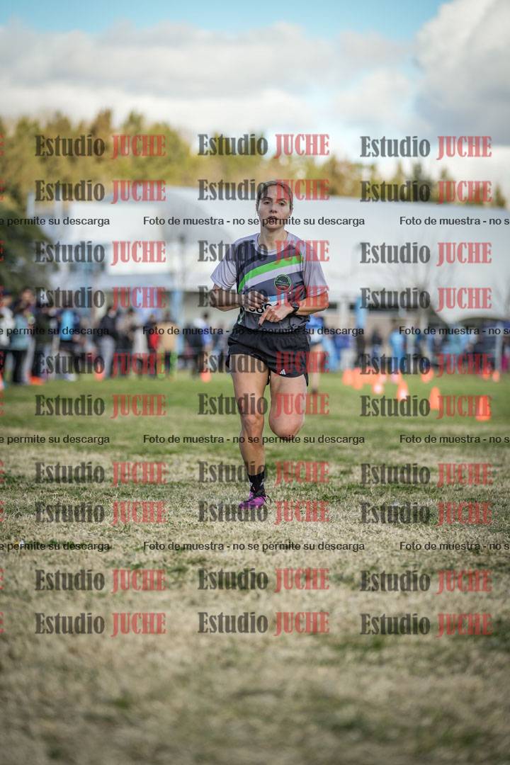 Fotos de las llegadas