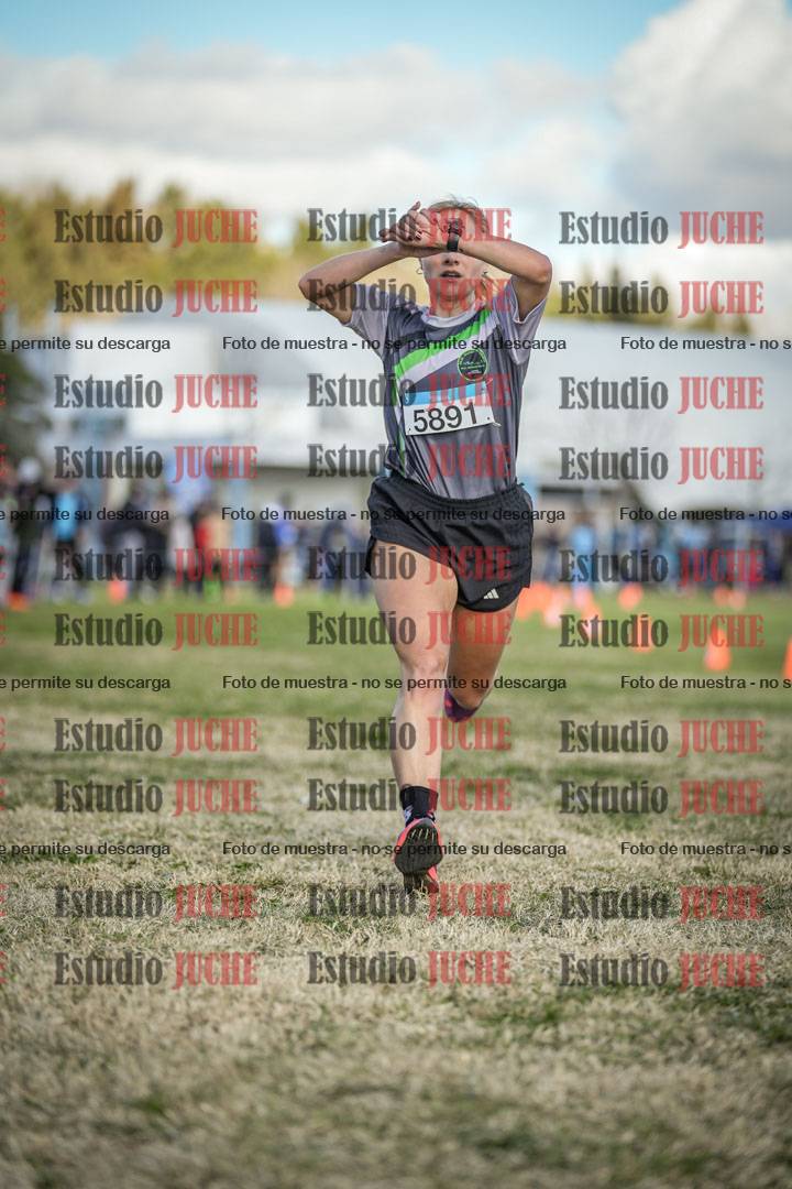 Fotos de las llegadas