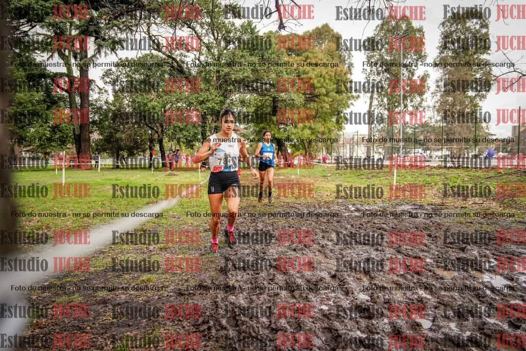 Fotos en el circuito