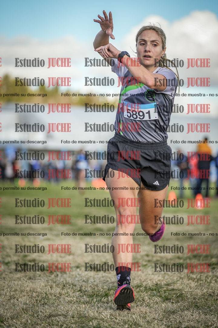 Fotos de las llegadas