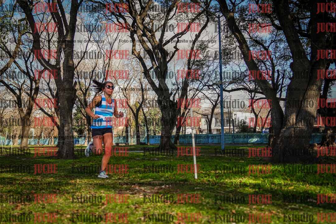 Fotos en el circuito