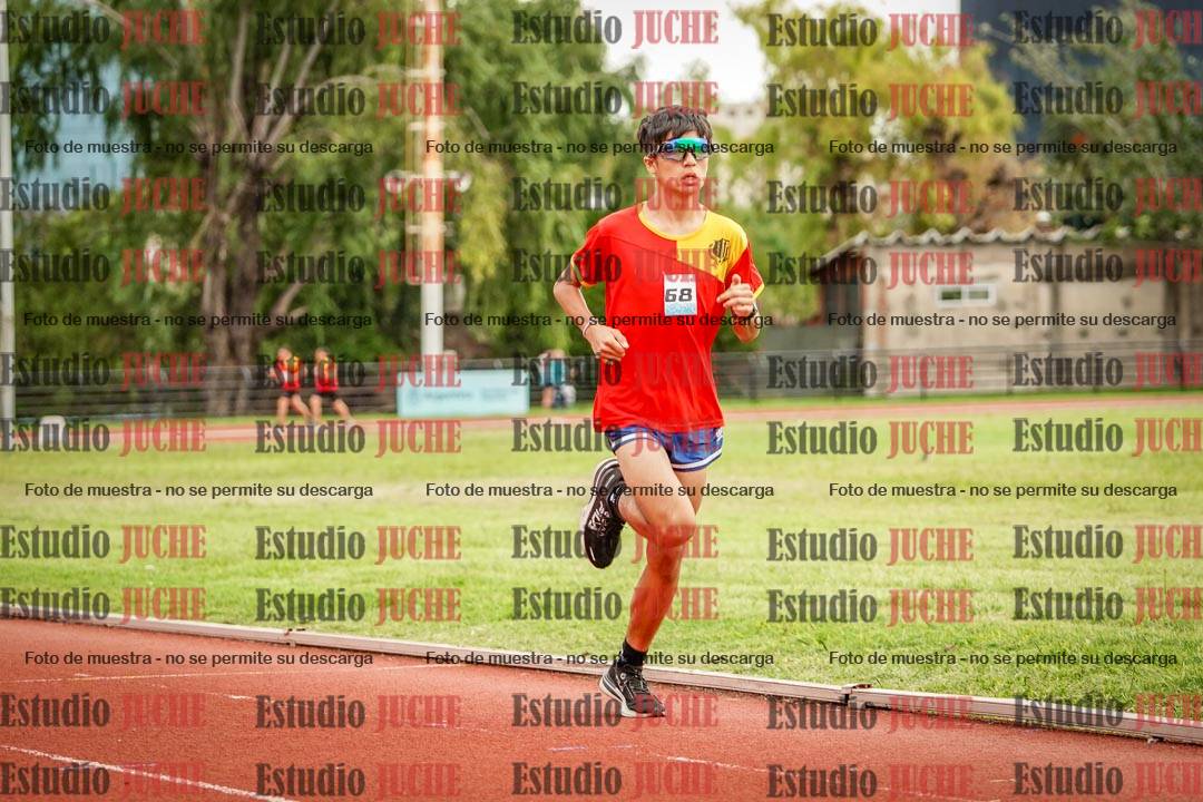 Fotos de los 3000 m llanos de varones