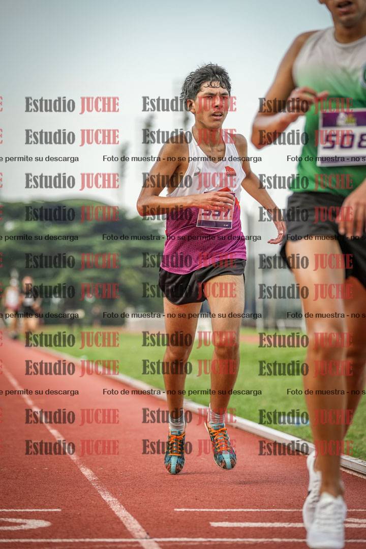 Fotos de los 3000 m llanos de varones