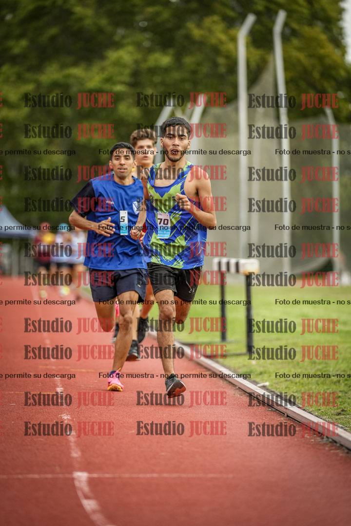 Fotos de los 3000 m llanos de varones