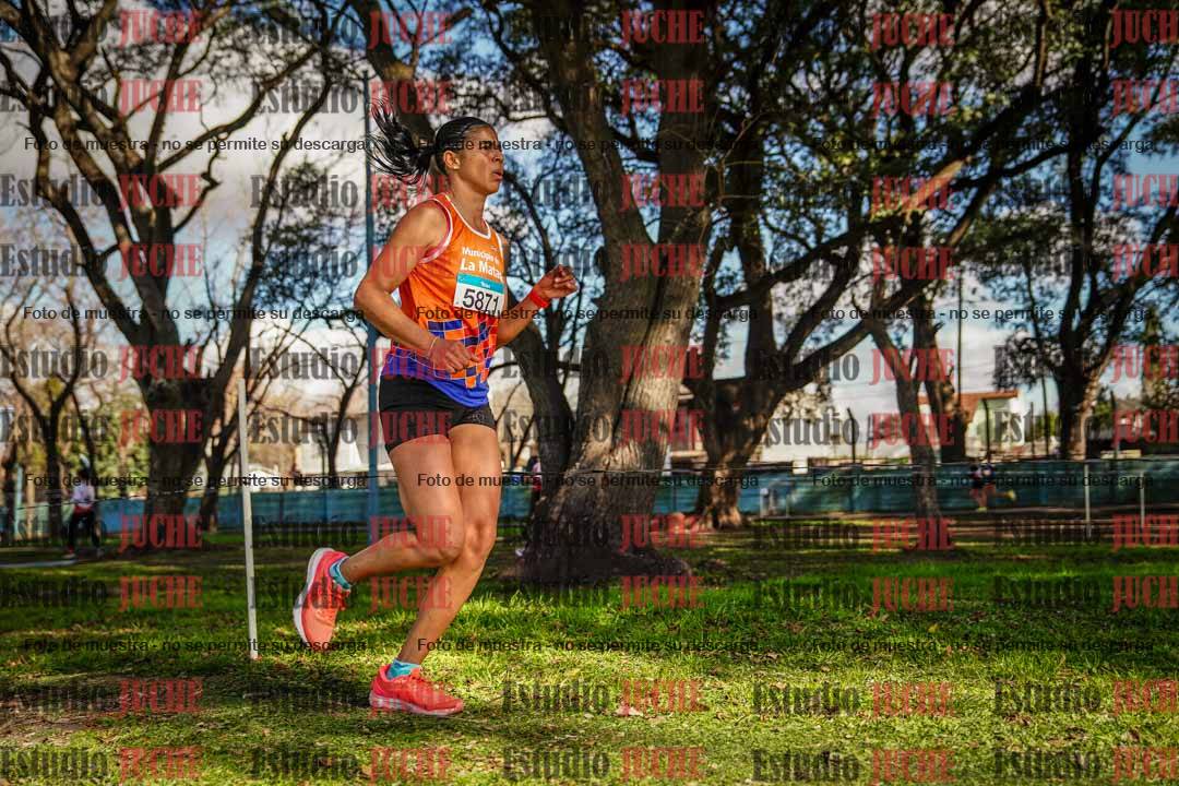 Fotos en el circuito