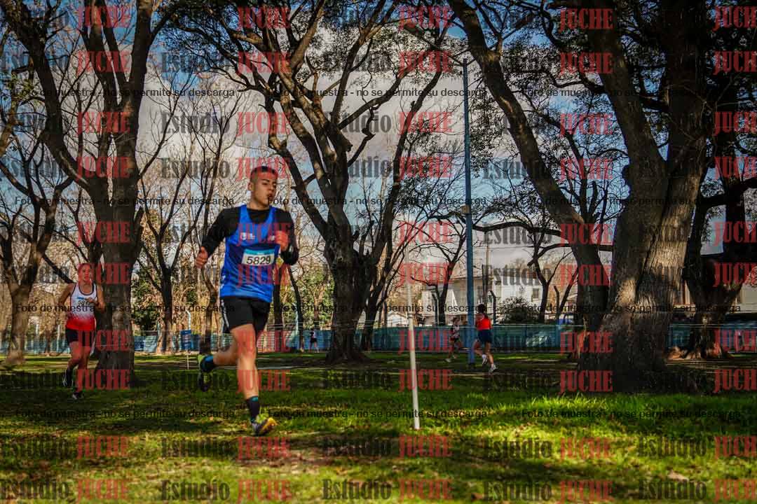 Fotos en el circuito