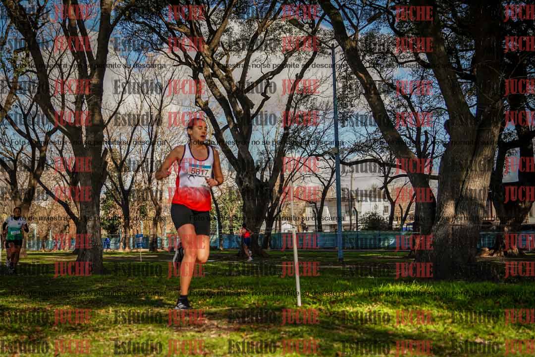 Fotos en el circuito