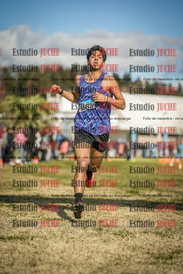 Fotos de las llegadas