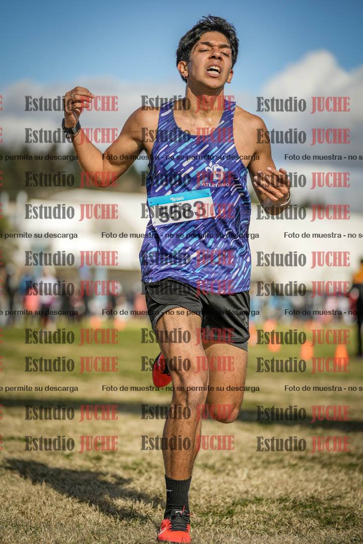 Fotos de las llegadas