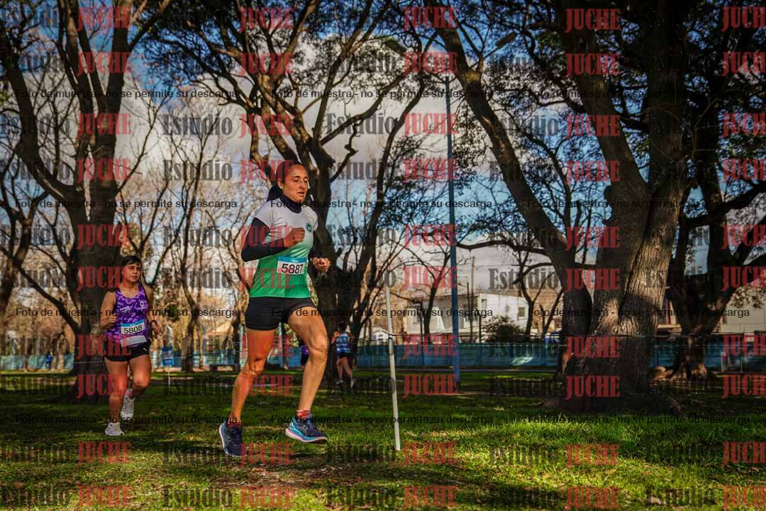 Fotos en el circuito