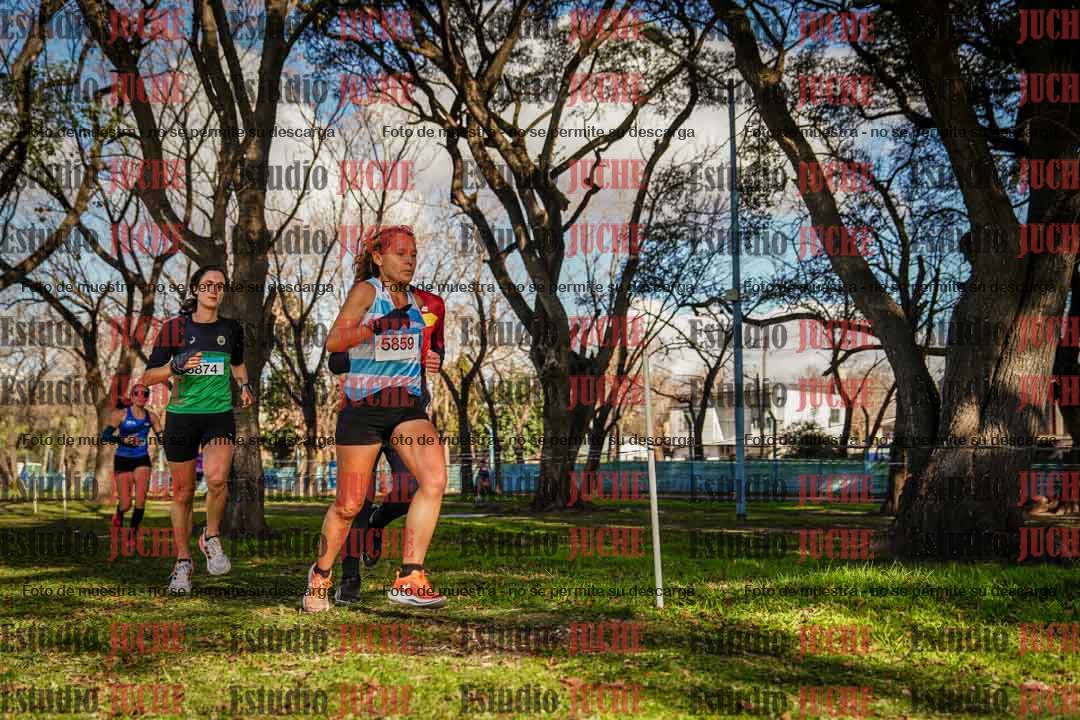 Fotos en el circuito